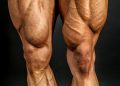 5 Tipps für eine erfolgreiche Muskeldefinition!