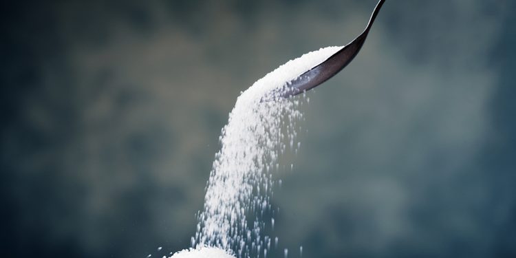 Die Wissenschaft von Zucker und Fettabbau